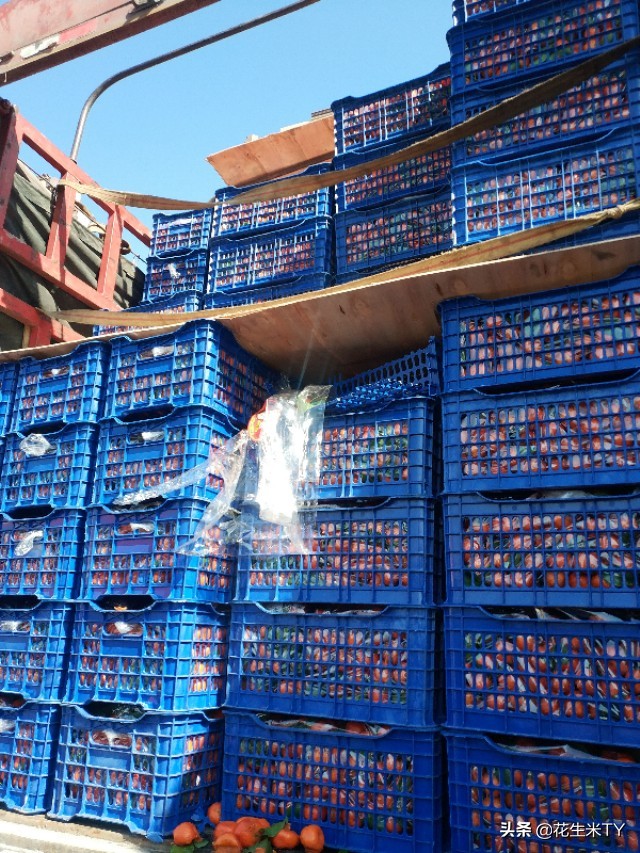 十二月份北京果蔬批发市场价格 (近期果蔬价格)