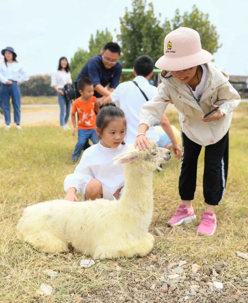台儿庄祥和庄园自驾游攻略,台儿庄古城祥和庄园