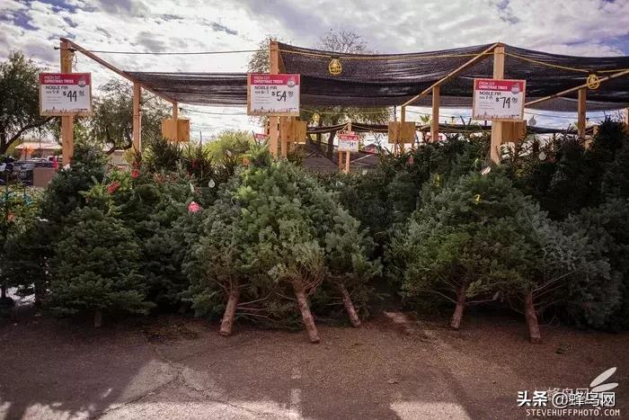 经典广角镜头,那些惊艳众人的封神镜头