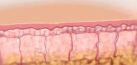 火爆欧洲、迪拜的“漂浮舱”来天津了！躺45分钟等于睡眠8小时