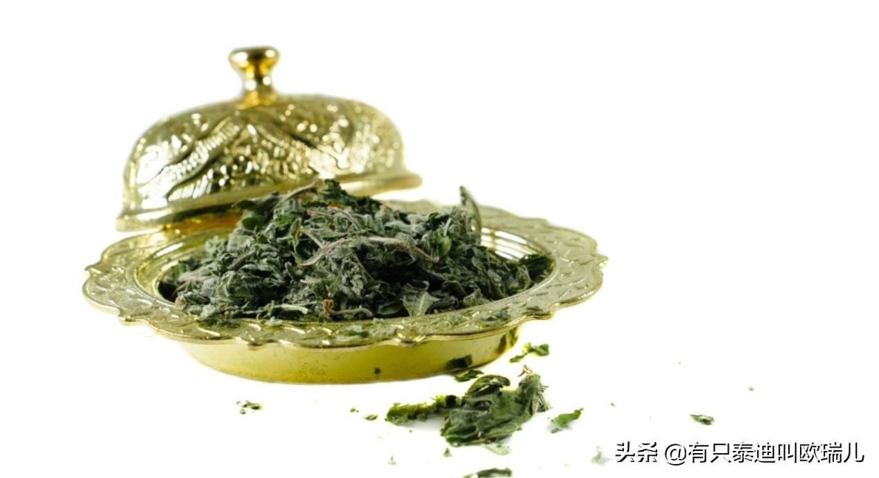 猫薄荷人类可以食用吗,人类能吃猫薄荷吗