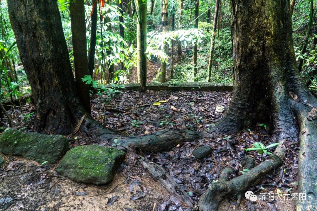 广西桂林灌阳县旅游,灌阳人在柳州