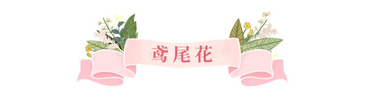 美美美！余杭七大花海组团来袭，遍地繁花好似人间仙境