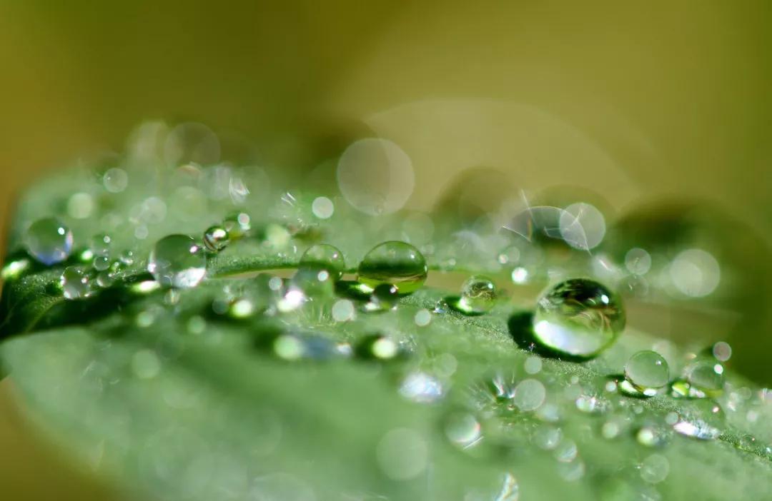 人生唯有自渡朗读,人生苦短请为自己而活朗诵