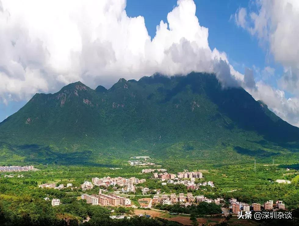 深圳杨梅坑溪谷,深圳最美溪谷杨梅坑