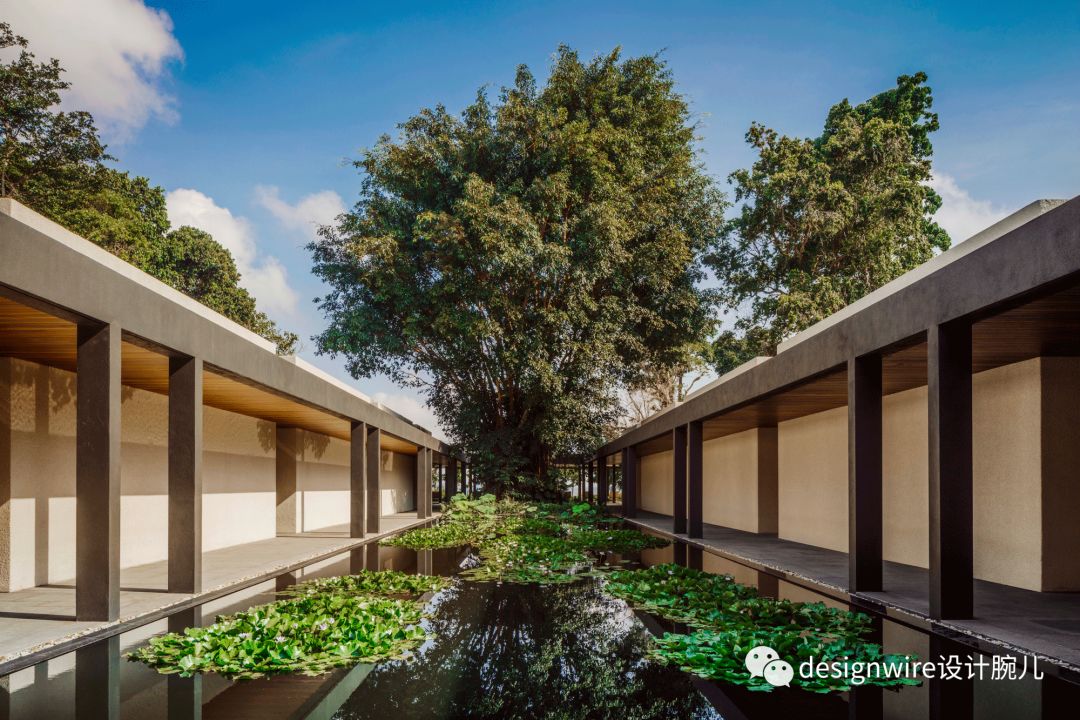 全球只有三家的酒店迪拜,oneandonly酒店