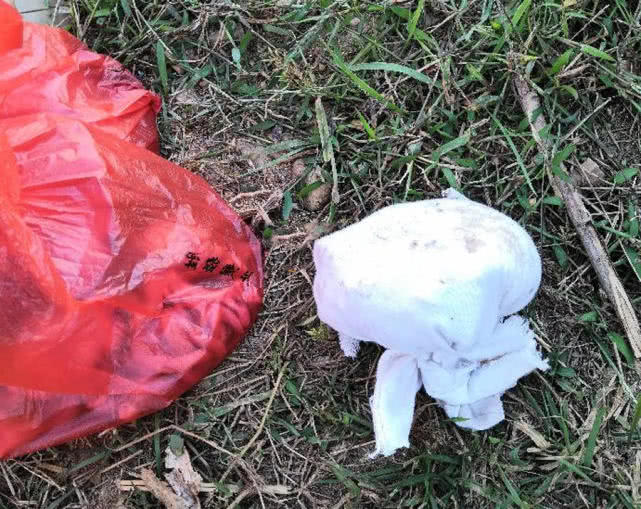 又到了钓淡水鱼的季节了,又到了钓翘嘴鳊鱼的季节