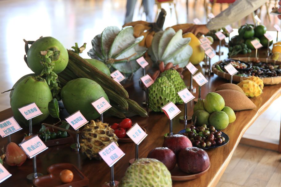 海南黄金百香果纯甜无酸,冰淇淋果图片和营养价值