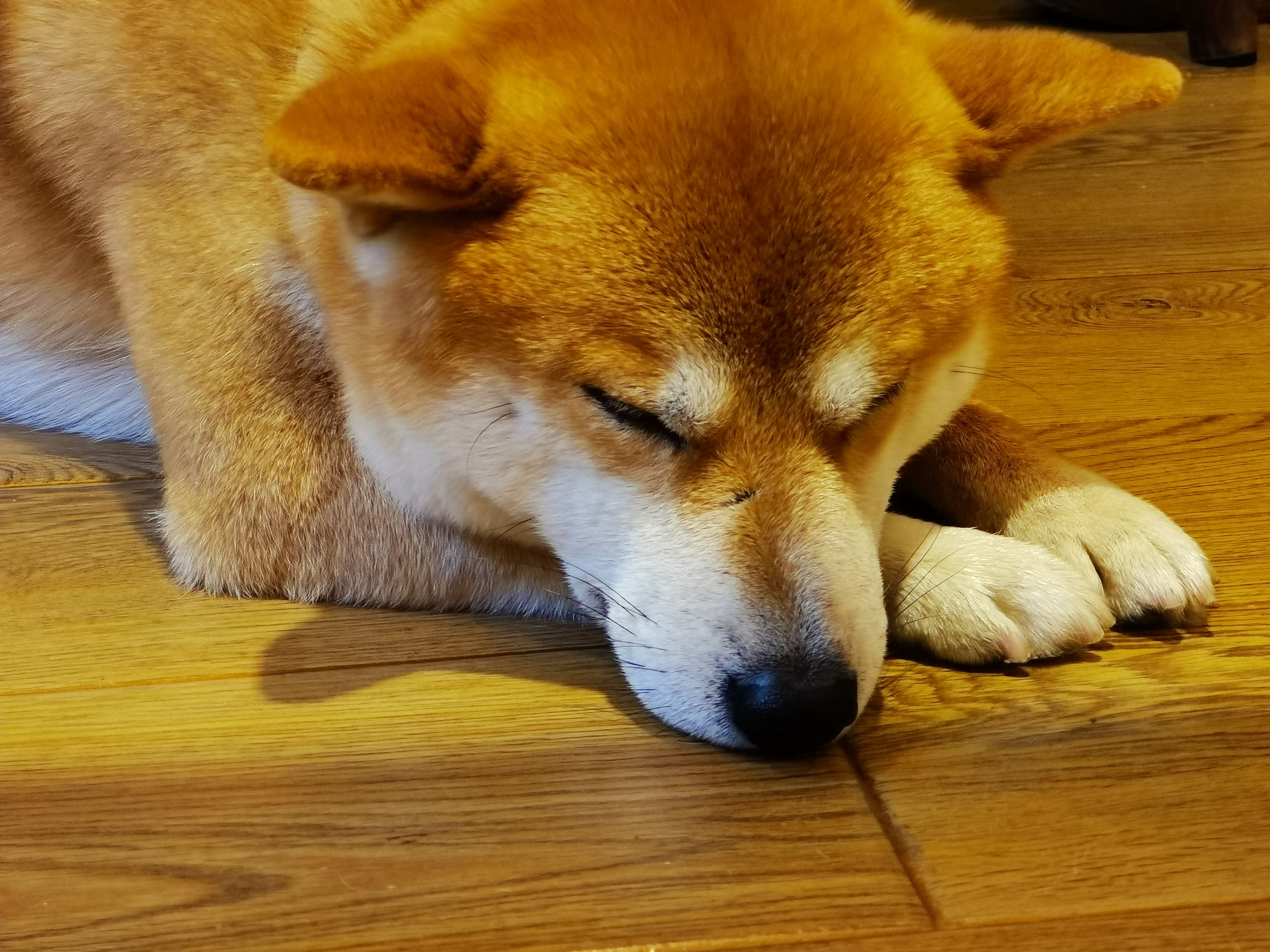 抛开情怀买三星还是华为,抛开情怀买什么手机