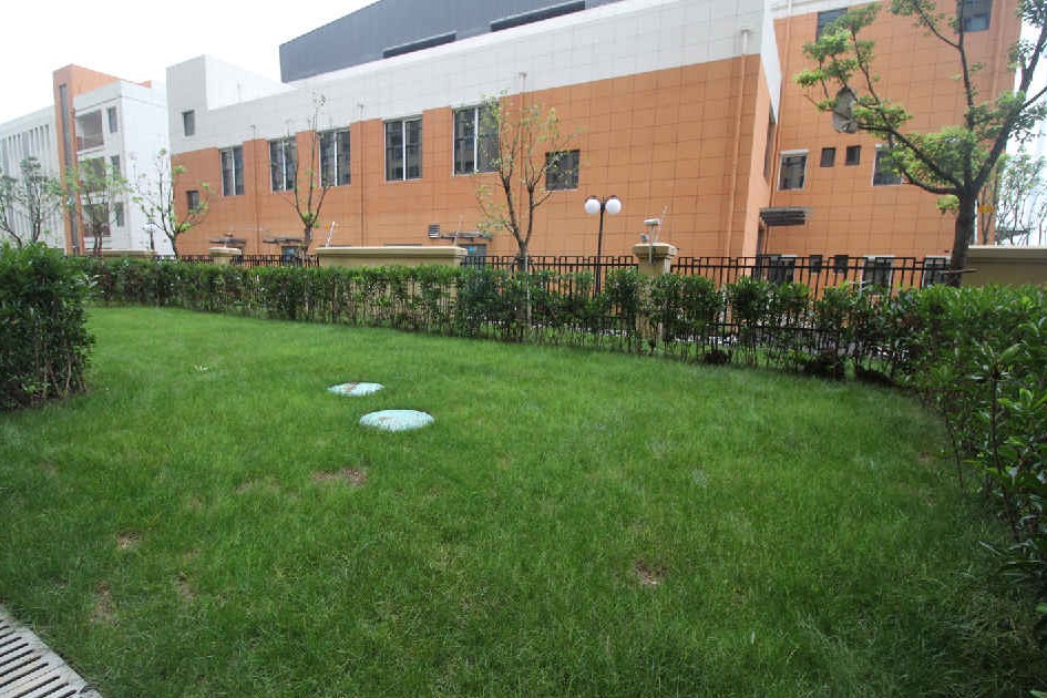 造园记养花人的必经之路,养花的院子怎么建造