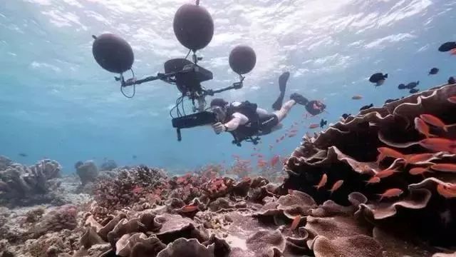 bbc纪录片揭露残忍人类对待动物,bbc动物纪录片造假事件