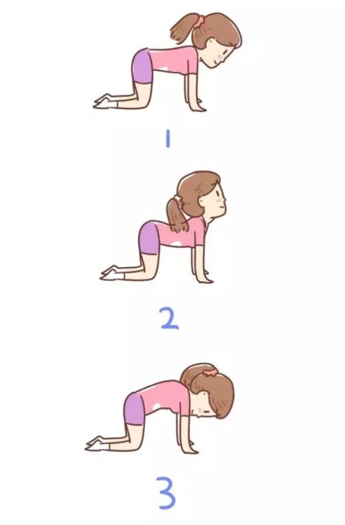 盆底肌没恢复好能训练腹部吗,盆底肌怎么恢复得快