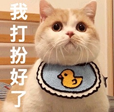 去迪士尼该怎么穿衣服,在迪士尼怎么穿才酷