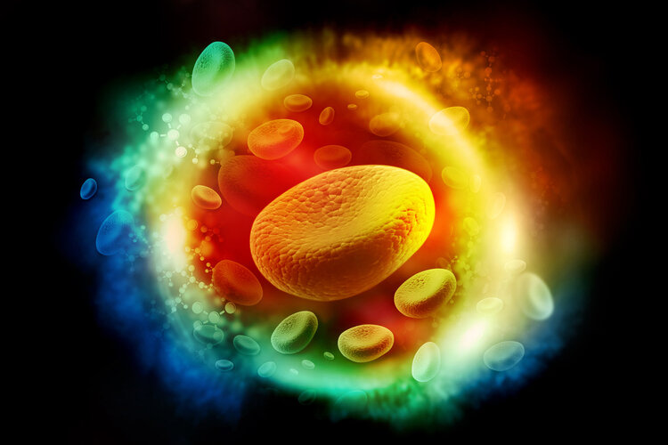 支架降价了手术后价格还是那么贵,支架降价了手术费用反而高了