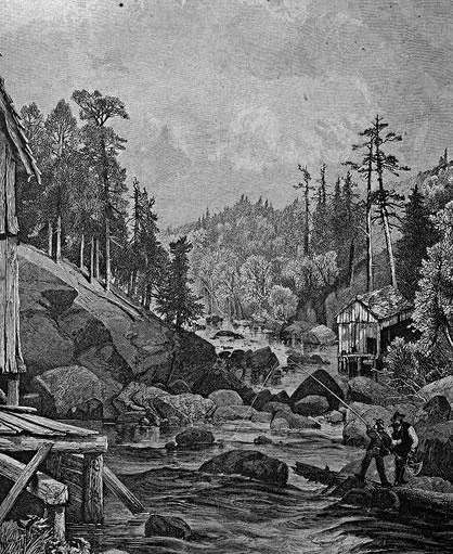 荒野猎人中的印第安人,荒野猎人里面的土著人