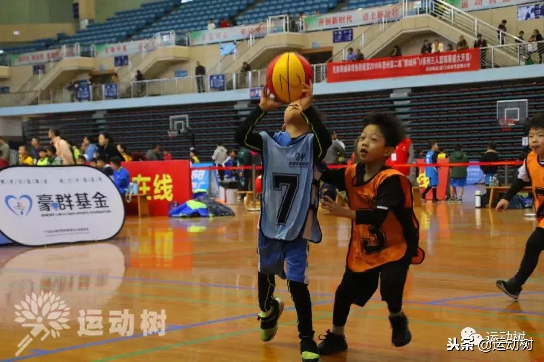 中国篮球名宿走进学校,中国篮球名宿26分