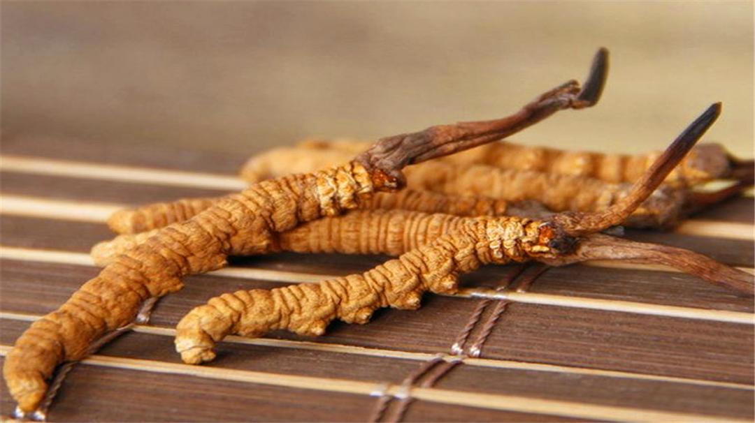 野生的冬虫夏草最便宜1克多少钱,冬虫夏草1克多少钱