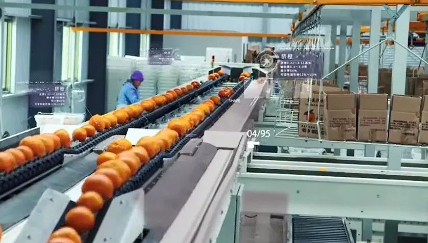 从地头到餐桌物流真快,从田头到餐桌上的美食