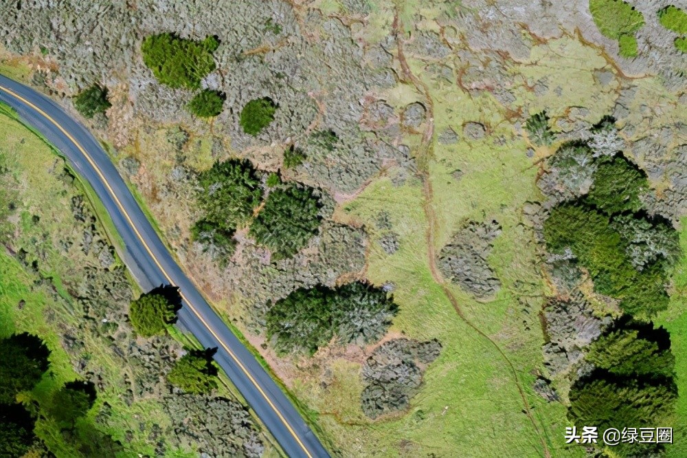 什么是以租代征合法吗,农田以租代征合法吗