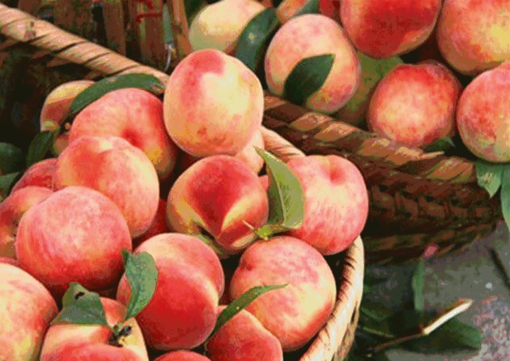 四川阆中特产有哪些可带走吃的,阆中最出名的特产