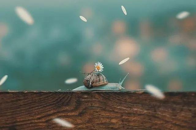 一个有心机的人有哪些特征,有心机的人会有哪些表现