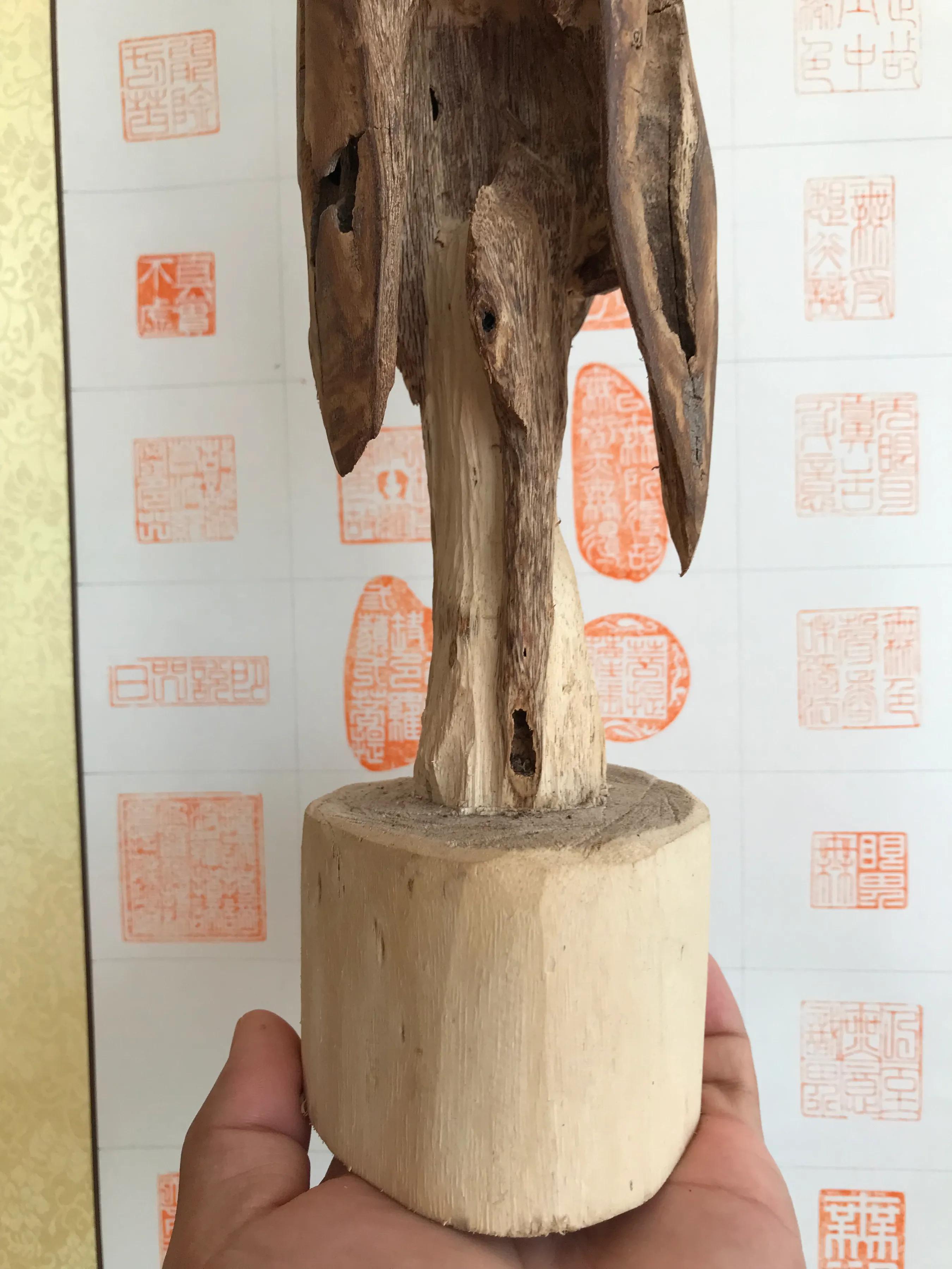 怎么简单科普沉香,初学者看沉香的门道