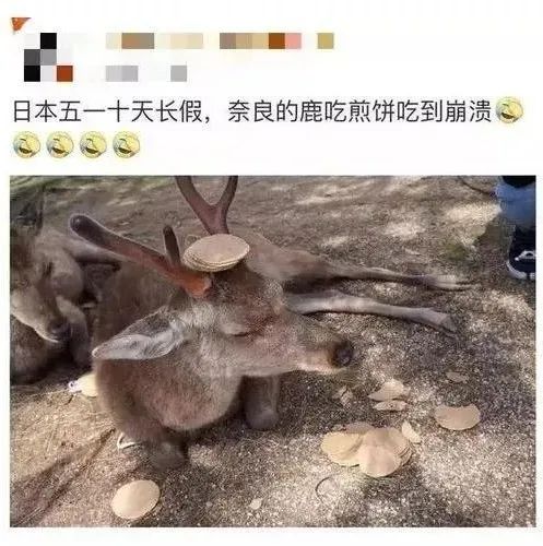 龙虾没人吃、LV没人买……中国人再不出门，各国旅游业都要垮了