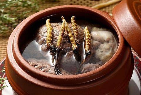 冬虫夏草怎样煲汤,冬虫夏草煲汤教程