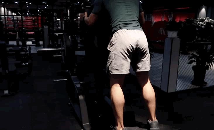 正向哈克深蹲怎么用,哈克深蹲练股四头肌动作要领