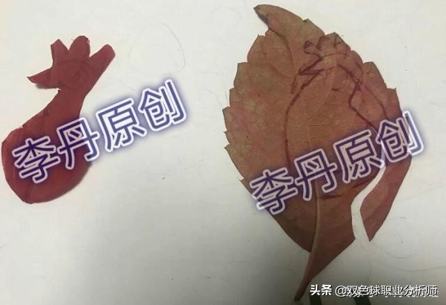 树叶手工制作最好看又简单合集,四个树叶就可以做出的小手工