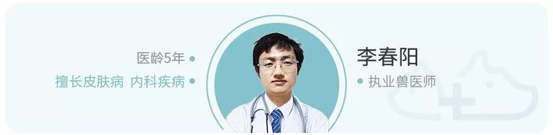 猫咪得了猫癣用妇炎洁,猫咪得了猫癣能擦红霉素软膏