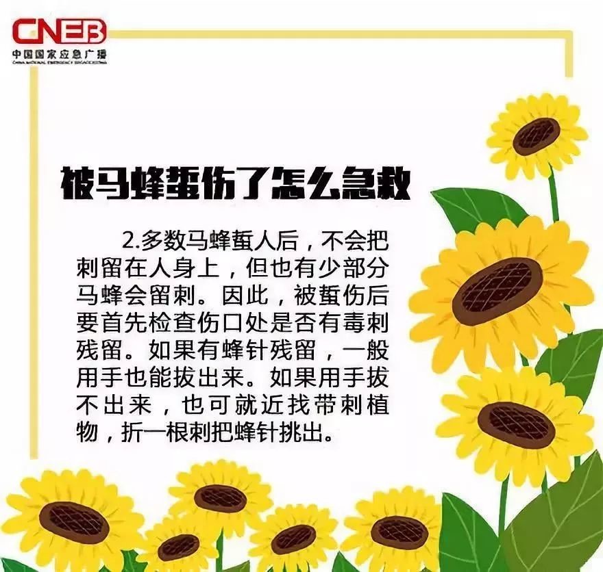 被马蜂蛰过敏性休克的急救措施,儿童被马蜂蛰了看不到毒刺