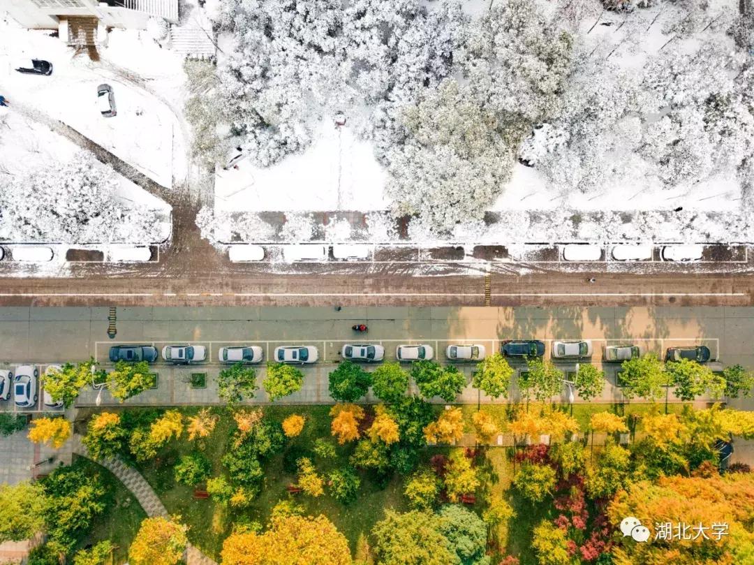 今天是你的生日，我的湖北大学！书记喊你回学校打卡