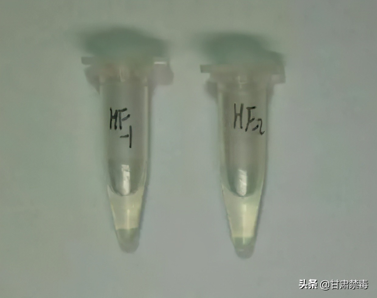 国际禁毒日不可以做什么,国际禁毒日违禁药品