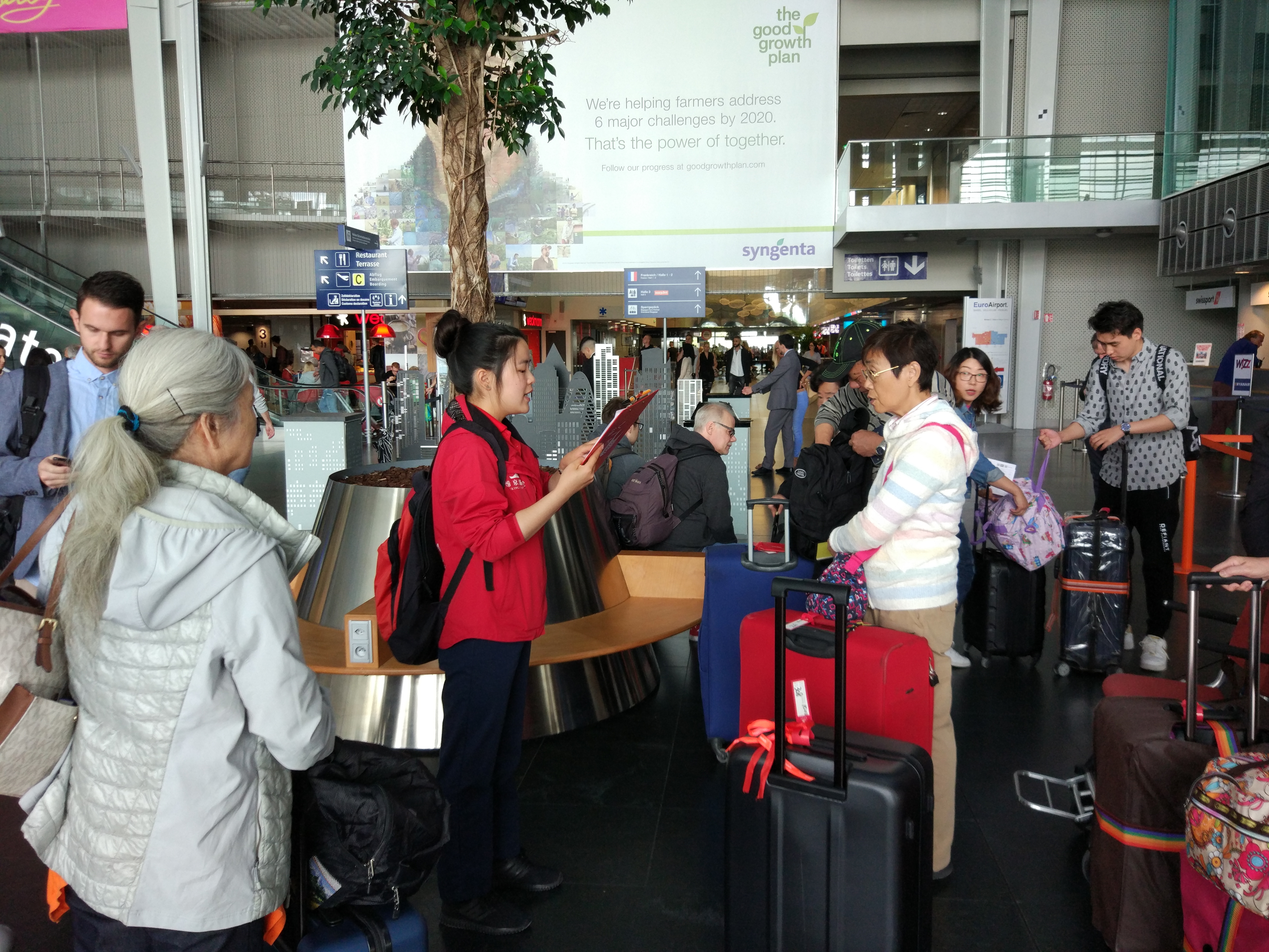 维京游轮莱茵河线旅游实录(十三)大结局