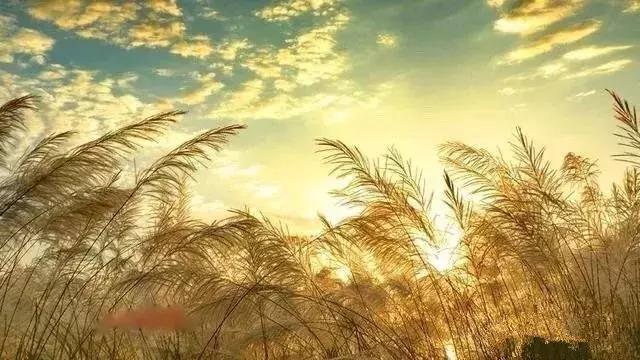 汉台半日游,汉台区一日游