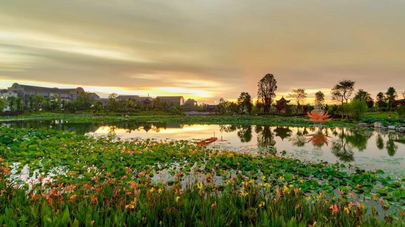 vr直播24小时,vr直播广西