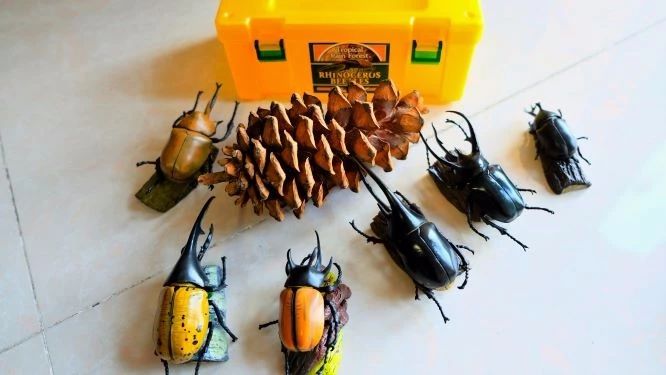 山野自然酷虫酷玩，玉米娃娃，一场自然与艺术融合的秋日盛宴