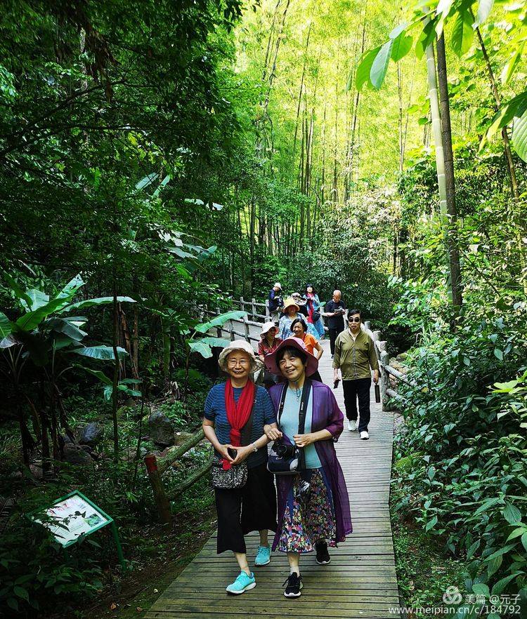 难忘贵州歌曲筒谱,难忘贵州歌曲