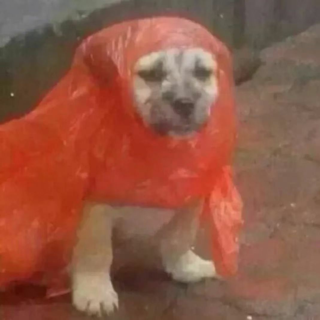 为什么去创业做销售,为什么去创业呢