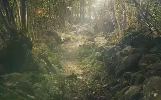 户外迷路时怎么找方向,户外如何预防迷路的方法