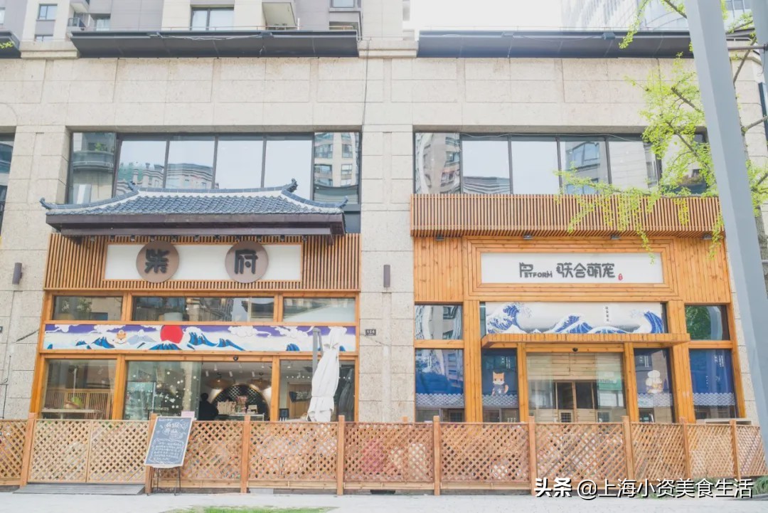 豆柴犬幼犬直播,豆柴是一只非常可爱的小狗