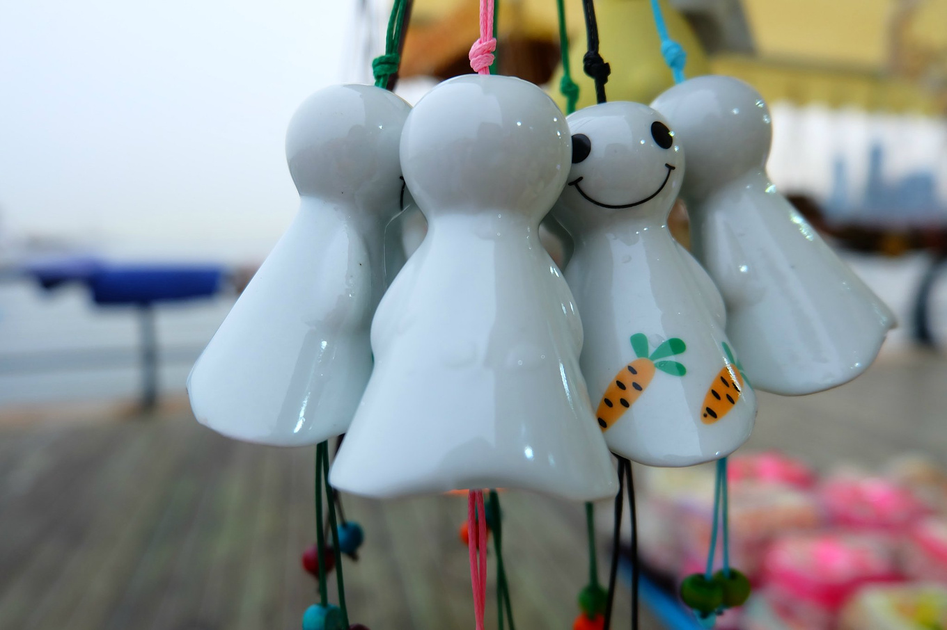 骆驼青岛,骆驼旅行在路上