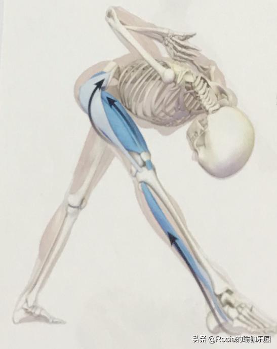 运动量过大腰疼怎么恢复,产后腰痛膝盖痛怎么锻炼