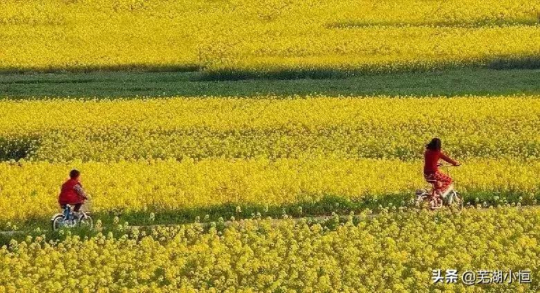 芜湖美丽的风景,芜湖最美地方
