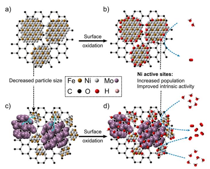 利用异质相金属碳化物调控铁镍合金活性位点以改善电催化产氧性能
