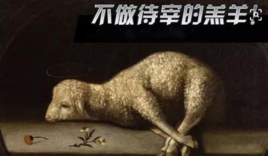 赌输了青春的人,赌输了青春