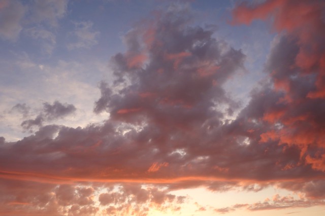 光影斑驳流年似水,光影斑驳岁月流年