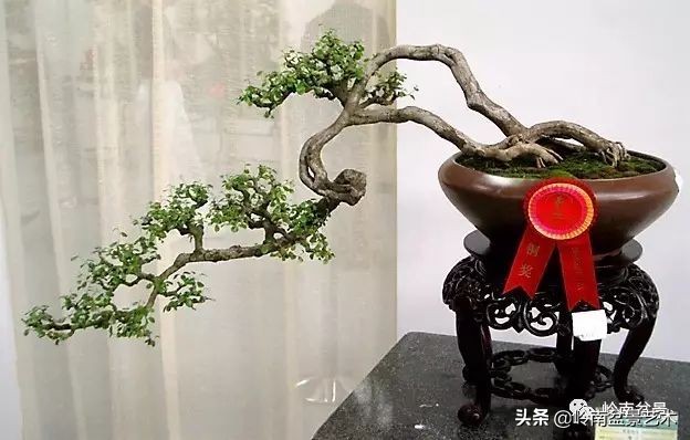 鎮礀缁濆閫㈢敓,鎮礀鐩嗘櫙澶у叏