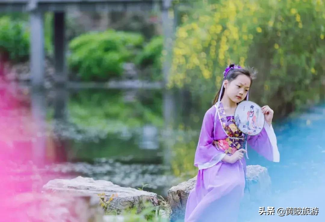 清凉寨樱花最佳赏花时间,清凉寨中华樱花